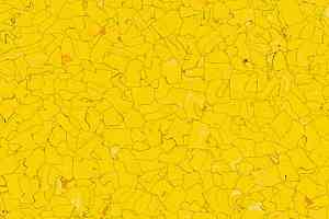 Кварцвиниловые полы Forbo  Colorex Signal SD 150231 sole фото  | FLOORDEALER